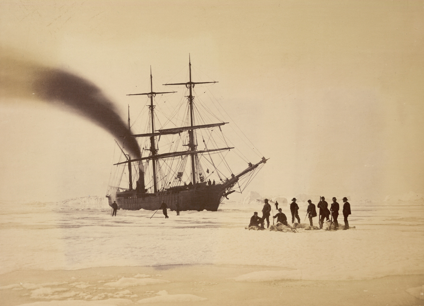Lines in the Ice - Bradford’s photograph of the crew of the Panther with the spoils of a bear hunt